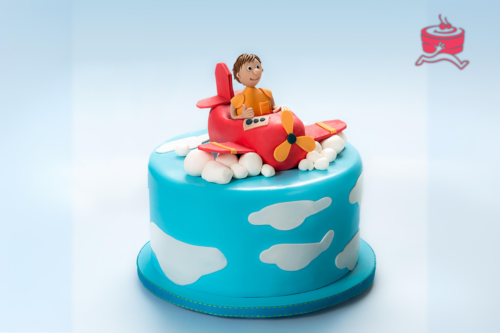 Easy Airplane Cake Ideas and Design at Home - WarmOven Blog