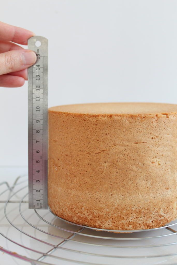 Choosing the Right Cake Base